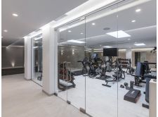 Glazing Channel Used in Private Gym (View 1)